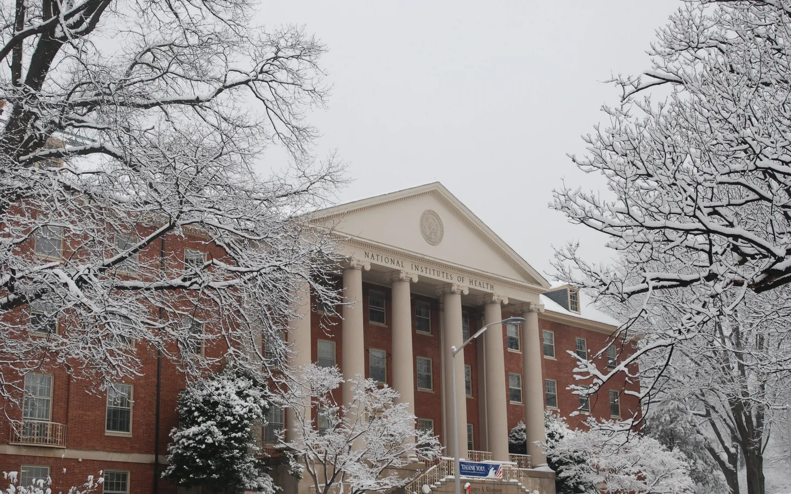 Snow covered trees frame the columned front of NIH Building 1, NATIONAL INSTITUTES OF HEALTH carved over the portico