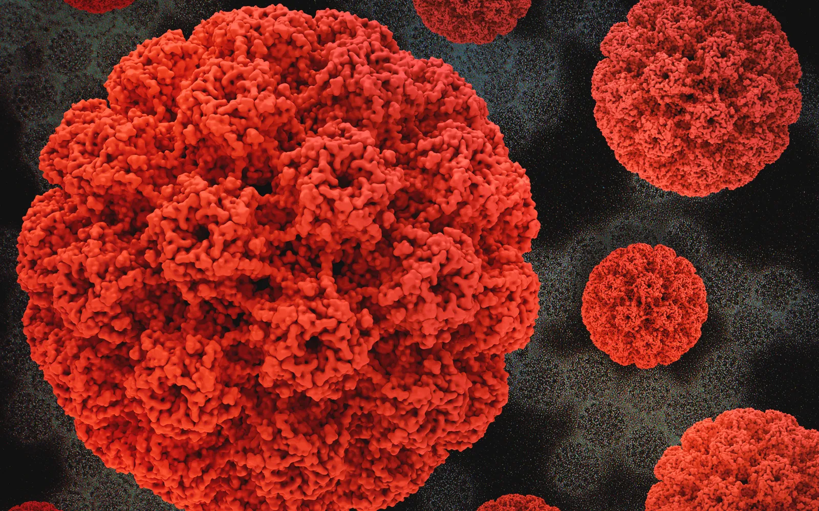 Red 3D models of human papillomavirus particles over a dark electron microscope image of HPV